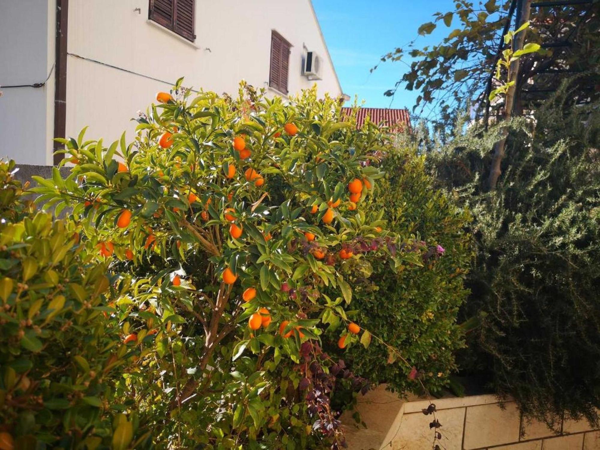 Guest house Lani Dubrovnik